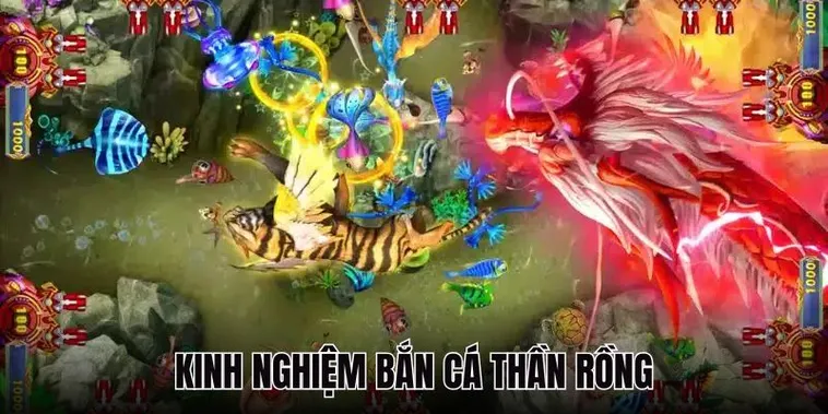 Chinh Phục Kho Báu Với Cách Chơi Bắn Cá Rồng JBO Kịch Tính Nhất 2 Chinh Phục Kho Báu Với Cách Chơi Bắn Cá Rồng JBO Kịch Tính Nhất