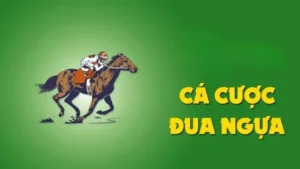 Khám Phá Cá Cược Đua Ngựa JBO: Bí Quyết Thắng Lớn Mỗi Cuộc Đua