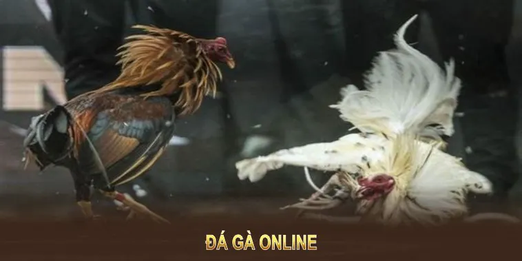 Bí Quyết Thắng Lớn Với Đá Gà Sabong Tại JBO: Hướng Dẫn Chi Tiết