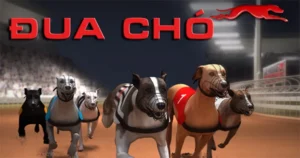 Bí Kíp Thắng Lớn Game Nhanh Đua Chó Tại JBO Dễ Dàng Hiệu Quả