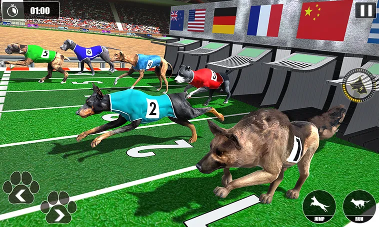 Bí Kíp Thắng Lớn Game Nhanh Đua Chó Tại JBO Dễ Dàng Hiệu Quả